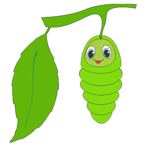 PUPA